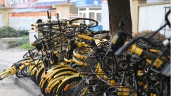 遭官方立案调查ofo小黄车负责人失联(图)