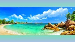 老祖宗的智慧「三伏貼」治氣喘有奇效(組圖)