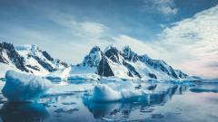 科學家意外發現：南極冰架下竟有77種生物(圖)