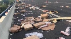 江蘇貨車發生車禍10噸豬肉散落後被哄搶(視頻)