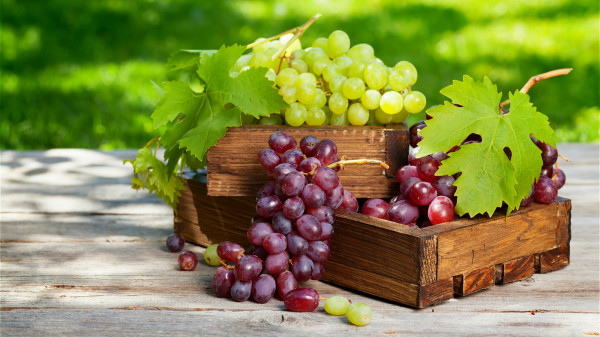 秋天吃些酸味食物，有护肝的功效，像葡萄、乌梅等。