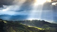 臭名远扬的富豪竟然死而复生(组图)