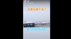 甘肅盛夏8月一夜降雪變「嚴冬」莊稼恐全毀(視頻圖)