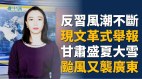 反習風潮不斷換人論引爭議【靜觀天下】