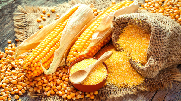 玉米性平味甘，入肝經、腎經、膀胱經，有利尿消腫、健脾滲濕、平肝利膽的功效。