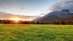 杀生造业亲人减寿信佛敬佛幸免于难(组图)