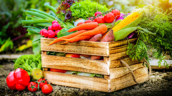蔬菜中钾元素和维生素含量丰富，能对血管起到保护作用，还能减少脂类物质吸附、沉淀。