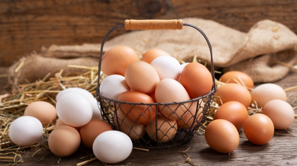 雞蛋 打蛋 蛋殼 氣孔