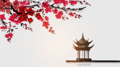 比文盲.美盲更可怕的“丑盲”(组图)