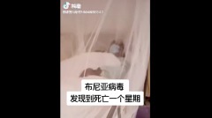 內幕曝光中國爆新布尼亞病毒蜱蟲咬一口竟能身亡(圖)
