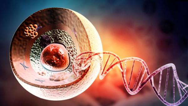 一项细胞生物学研究，再次证明生命进化论是错误的。