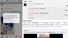 「一箱小狗共五隻」犯大忌微博遭封殺(圖)