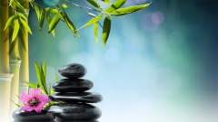 有智慧的人都会戒掉“这件事”(图)