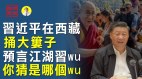 习近平在西藏捅大娄子预言“江湖习WU”你猜是哪个WU(视频)