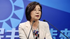 台国安危机学者：世纪末人口或无千万(图)