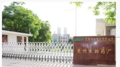 兰州布病案赔偿方案公布确诊者：不会签字(图)