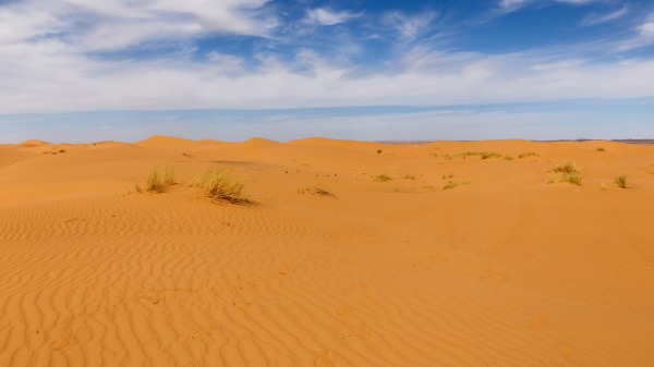 撒哈拉沙漠，曾经有过高度繁荣昌盛的远古文明。（图片来源：Adobe Stock）