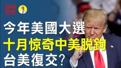 今年美國大選十月驚奇中美脫鉤台美復交(視頻)