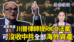 川普律师提RICO法案中共贪官海外资产恐全没收