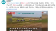 中共「農民豐收節」黑龍江大壩決堤7萬畝農田被淹損失過億(圖)