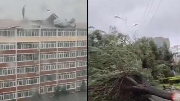吉林 颱風 黑龍江