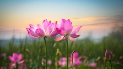 改变命运的10两银子(图)