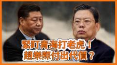 副省长主动自首赵乐际无处躲青海矿业大案掀高层权斗江泽民曾庆红势力难逃清洗