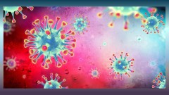 武汉肺炎可空气传播专家指出围堵重点(组图)
