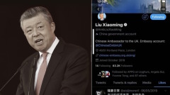 丑态不断赵立坚急退追AV刘晓明避谈推特骇客(组图)
