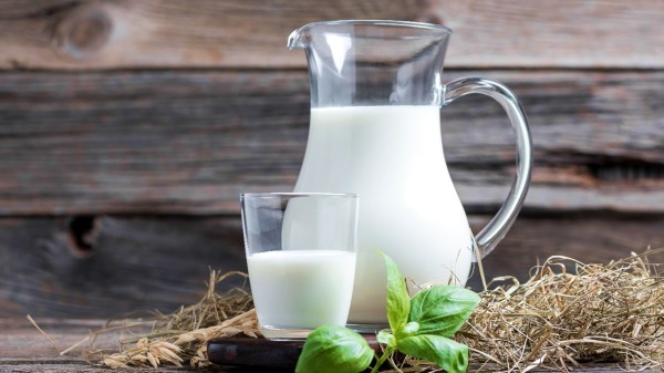 早餐可以通過牛奶、羊奶等奶類食品補充「優質蛋白質」。