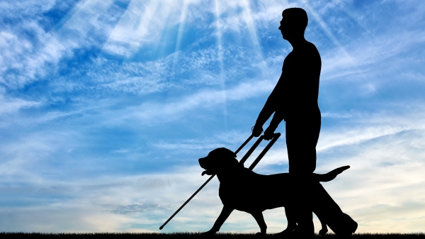 死後恢復視力的主人，一如生前慢吞吞的往前走著，導盲犬也配合主人步調慢慢跟著。