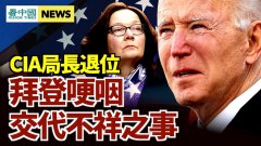新闻武汉 看中国新闻网 海外华人历史秘闻19冠状病毒病 武汉肺炎 香港第四波疫情百花齐放 侯镇安 新年 自由发稿 看中国网 移动版