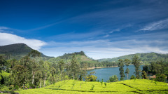 二岁童说前生是总统天天礼佛打坐(图)