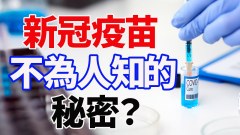 新冠疫苗不为人知的秘密(视频)