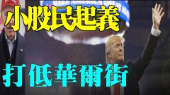 唐柏桥：美国小股民起义杯葛华尔街(视频)