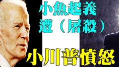 唐柏橋：金融革命佔領華爾街小川普憤怒發聲(視頻)