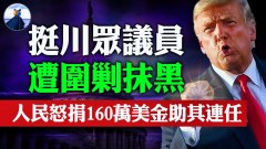 川爺民心遍佈全美挺川議員無所畏懼(視頻)