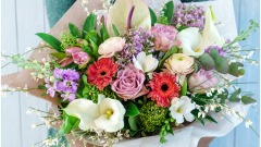 珍惜你生命里所有温暖的相遇(图)