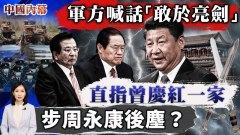 中南海搏杀军方喊话“敢于亮剑”网传曾家“至暗”海报(视频)