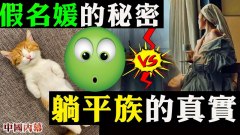 强烈反差：上海假名媛的秘密VS躺平族的真实