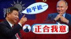 北京凉了普京反对武统台湾习近平对台存在严重认知缺陷(视频)