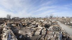 灾难将发生时动物的警示和异象(图)