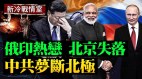 北京心心念的俄羅斯卻情繫印度；美俄聯盟中共夢斷北極(視頻)