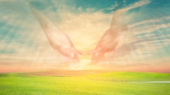 拥有这3种气度你会一生顺遂(组图)