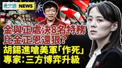 胡錫進嗆美軍在臺；比金正恩還狠金與正處決8名特務(視頻)