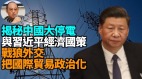 【袁紅冰熱點】揭秘：中國大停電成常態與習近平政治經濟國策(視頻)
