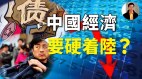 【东方纵横】中国经济要硬着陆(视频)