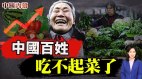【中國内幕】蔬菜漲價很誇張百姓已經吃不起菜了(視頻)