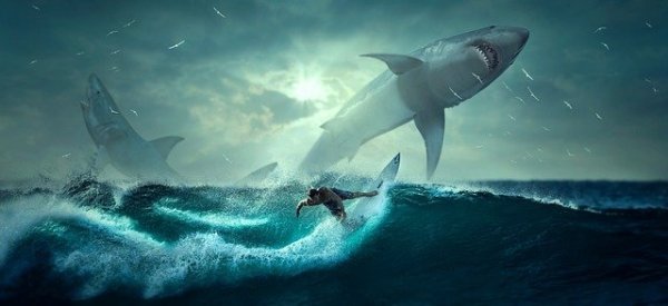 在澳大利亚悉尼海滩，一条鲨鱼距离游泳者只有几米远。(Stefan Keller/Pixabay)