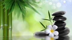 「最好的人生」是什麼樣的(圖)